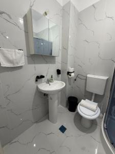 a white bathroom with a toilet and a sink at Julia Militari Studio in Roşu