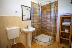 a bathroom with a shower and a sink at Casa Mosului - Transfăgărășan Bed & Breakfast in Cîrţişoara +81 photos