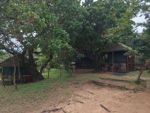 a house with trees in front of it at Amangwane Tented Camp in Enkovukeni