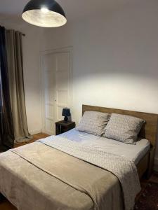 a bedroom with a large bed with a light at Culture Maison Alençon in Alençon +7 photos