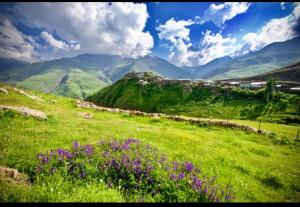 a green field with purple flowers on a mountain at Guesthouse Teymur Galakhudat 