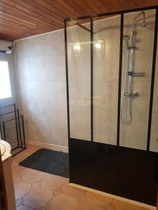 a shower with a glass door in a bathroom at Maison dans un village calme in Carla-de-Roquefort +12 photos