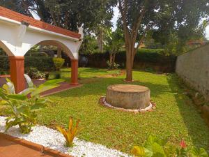 einen Garten mit Baumstumpf im Gras in der Unterkunft C & G house in Nairobi
