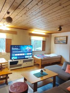 a living room with a large flat screen tv at Aurora Cabin in Saariselka