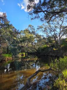 Příroda nedaleko apartmánu + 10 fotografií