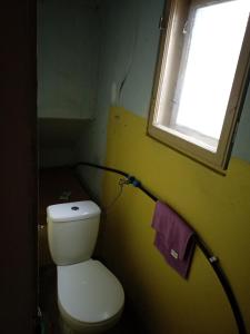 a bathroom with a toilet and a window at Școala Zamolxiană in Predeal