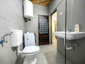 a bathroom with a toilet and a sink at Biocinovici vikendica in Kolašin