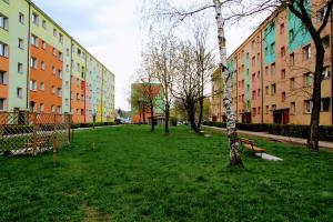 ein Park mit einem Baum und einigen Gebäuden in der Unterkunft Apartament w sercu Karkonoszy in Jelenia Góra