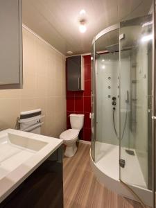 ein Badezimmer mit Toilette, Waschbecken und Dusche in der Unterkunft La Maisonnette Etape de Saint-Côme d'Olt in Saint-Côme-dʼOlt + 37 Fotos