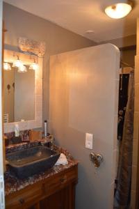 een badkamer met een wastafel en een grote spiegel bij Haut du Blanc in Le Blanc