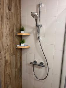a shower with a shower head and two shelves at Cosy Dream Appartment near Borovets in Samokov +17 photos