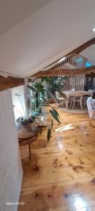 a room filled with lots of potted plants on a wooden floor at Le Grenier des Moineaux Chezchristineetfabrice in Odeillo-Via