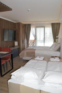 a hotel room with two beds and a television at Near Ski Center, Apartment VIS Mountain Views - Residence Hill Kopaonik in Kopaonik