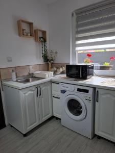 a kitchen with a washing machine and a sink at Căsuța Piatra Craiului in Zărneşti