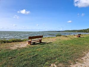 KamminkeにあるKamminke - Reetdachhausの水辺の芝生に座る公園ベンチ