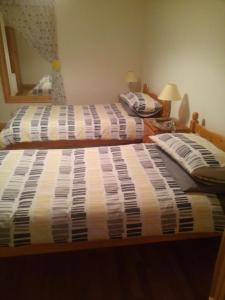 Bun An Coirin في Clonbur: سريرين يجلسون بجانب بعض في غرفة النوم