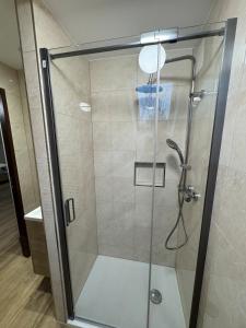 una ducha con puerta de cristal en un baño en La Tranquillité Citadine, en Schiltigheim