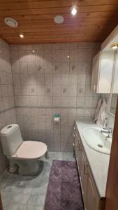 a bathroom with a toilet and a sink at Lakeside Hideaway in Rovaniemi +6 photos