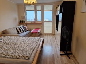 a living room with a bed and a couch at Apartament Czwarte Piętro in Świecie