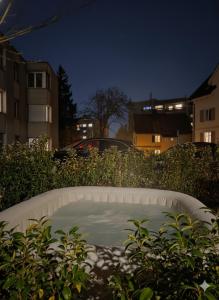 a garden with a pond in the middle of a city at night at Lux Line Apartment in Zürich