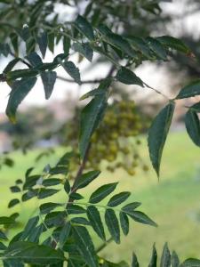 Φωτογραφία από το άλμπουμ του 808名墅 新开罗国际会展中心店 στο Κάιρο