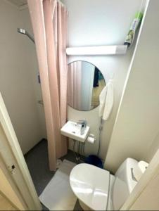 ein kleines Bad mit einem WC und einem Spiegel in der Unterkunft RD Apartments - Viinikan Ruusu in Tampere
