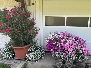 Gallery image of Branderhof in Jochberg +91 photos