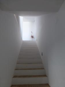 圣卢西亚岛Flamingo Beach House的相册照片