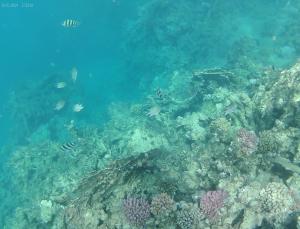 Gallery image of Branderhof in Jochberg