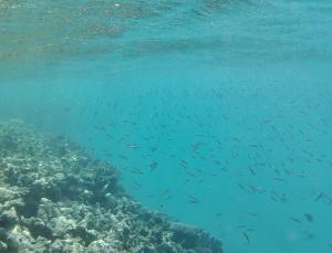 Gallery image of Branderhof in Jochberg