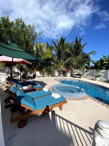 Una piscina con tumbonas azules y una piscina. en Eco Friendly Secluded OceanView Pool near Key West, en Cudjoe Key