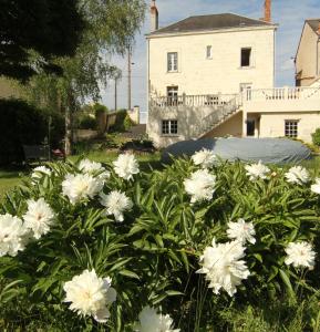 Сад в La Lambertine & Spa