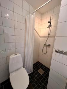 a bathroom with a toilet and a shower at Centrally-located Unique Private apartment with 3 floors in Smedjebacken
