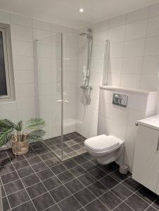 Un baño con inodoro y ducha de cristal. en modern apartment close to the airport, en Tromsø 12 fotos más