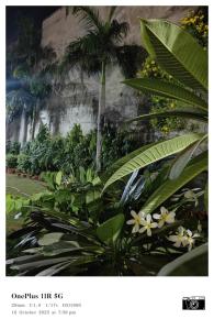 a picture of a garden with a palm tree and flowers at Hotel Swaagat in Agra