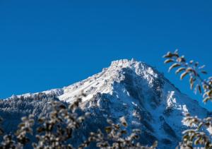 Γενική θέα στο βουνό ή θέα στο βουνό από  αυτό το καταφύγιο +14 φωτογραφίες