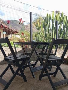 a picnic table and two chairs sitting in front of a cactus at Chalé da Lili in Nova Friburgo