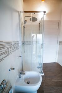 a bathroom with a shower and a white sink at Dicentra Guest House in Villanova dʼAsti