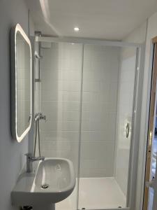 Un baño con lavabo y ducha en Studio neuf dans un écrin de verdure, en Charbonnières-les-Bains