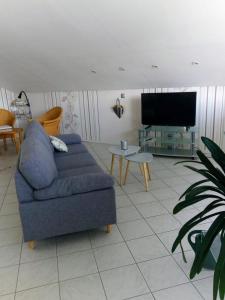 a living room with a blue couch and a flat screen tv at Panoramablick Donnersberg in Dannenfels