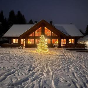 a christmas tree in the snow in front of a house at Luxus Blockhaus Willingen Sonnenhang Lodge A in Willingen