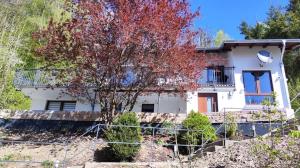 ein Haus mit einem Baum davor in der Unterkunft Chalet am Diemelsee - Ferienwohnung mit Terrasse im Sauerland in Heringhausen