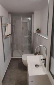 ein Badezimmer mit Dusche, Toilette und Waschbecken in der Unterkunft Chalet am Diemelsee - Ferienwohnung mit Terrasse im Sauerland in Heringhausen