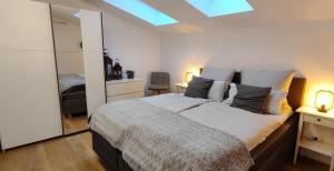 a bedroom with a large bed and a skylight at Chalet am Diemelsee mit Seeblick im Sauerland in Heringhausen