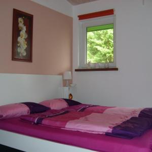 a bed in a bedroom with a window at Ferienwohnung am Malchiner See mit Boot und Kanu in Seedorf
