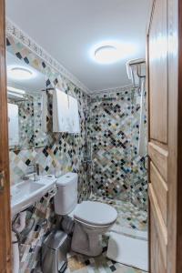 a bathroom with a toilet and a sink and a shower at Riad Al Mozyane in Fez +102 photos