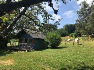 Ein blauer Schuppen auf einer Wiese mit Kühen im Hintergrund in der Unterkunft Cabane Au bois du Haut Folin in Saint-Prix