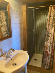 ein Badezimmer mit Waschbecken und Dusche in der Unterkunft Cabane Au bois du Haut Folin in Saint-Prix
