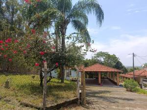 a house with a palm tree and a yard at Sitio Pé da Serra São Pedro in São Pedro