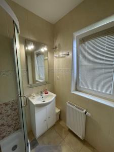 a bathroom with a sink and a mirror and a shower at Apartments and Rooms With View on Bled in Bled +43 photos